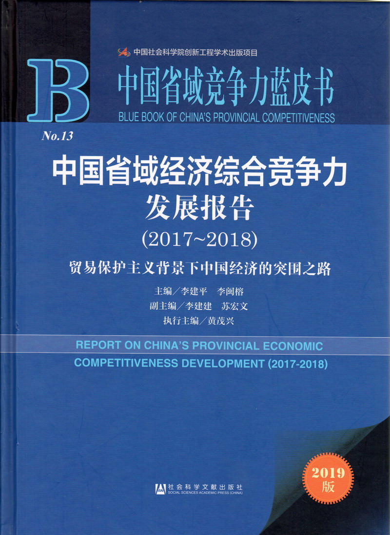 被男人肏到喷水中国省域经济综合竞争力发展报告（2017-2018）